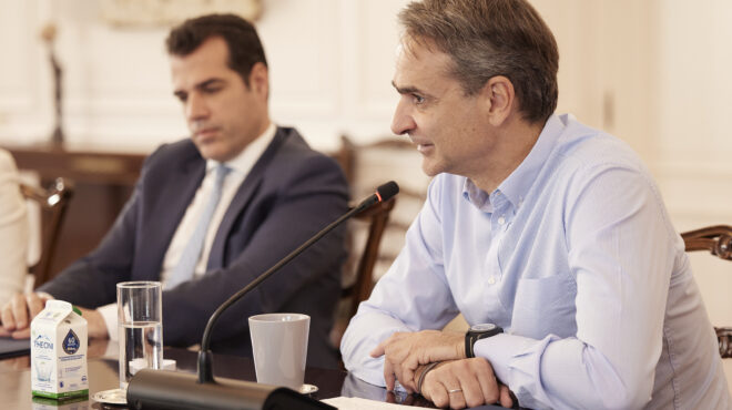 συνάντηση-μητσοτάκη-πλεύρη-την-τετά-563704567