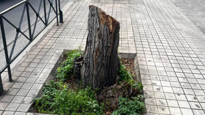 ο-κανόνας-πρασίνου-του-3-30-300-563736703