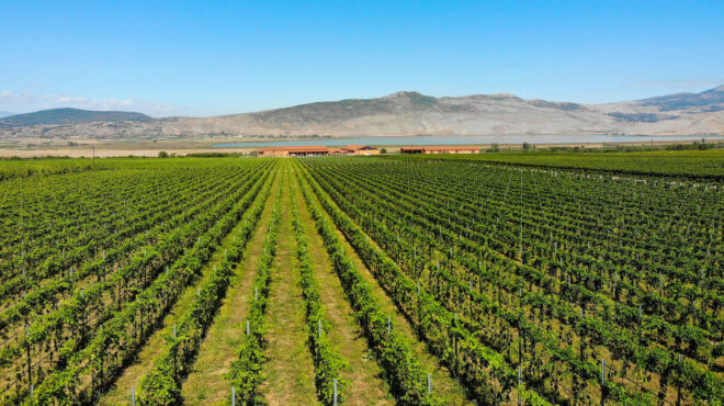 θα-μιλήσουμε-παντού-για-το-ξινόμαυρο-563724721