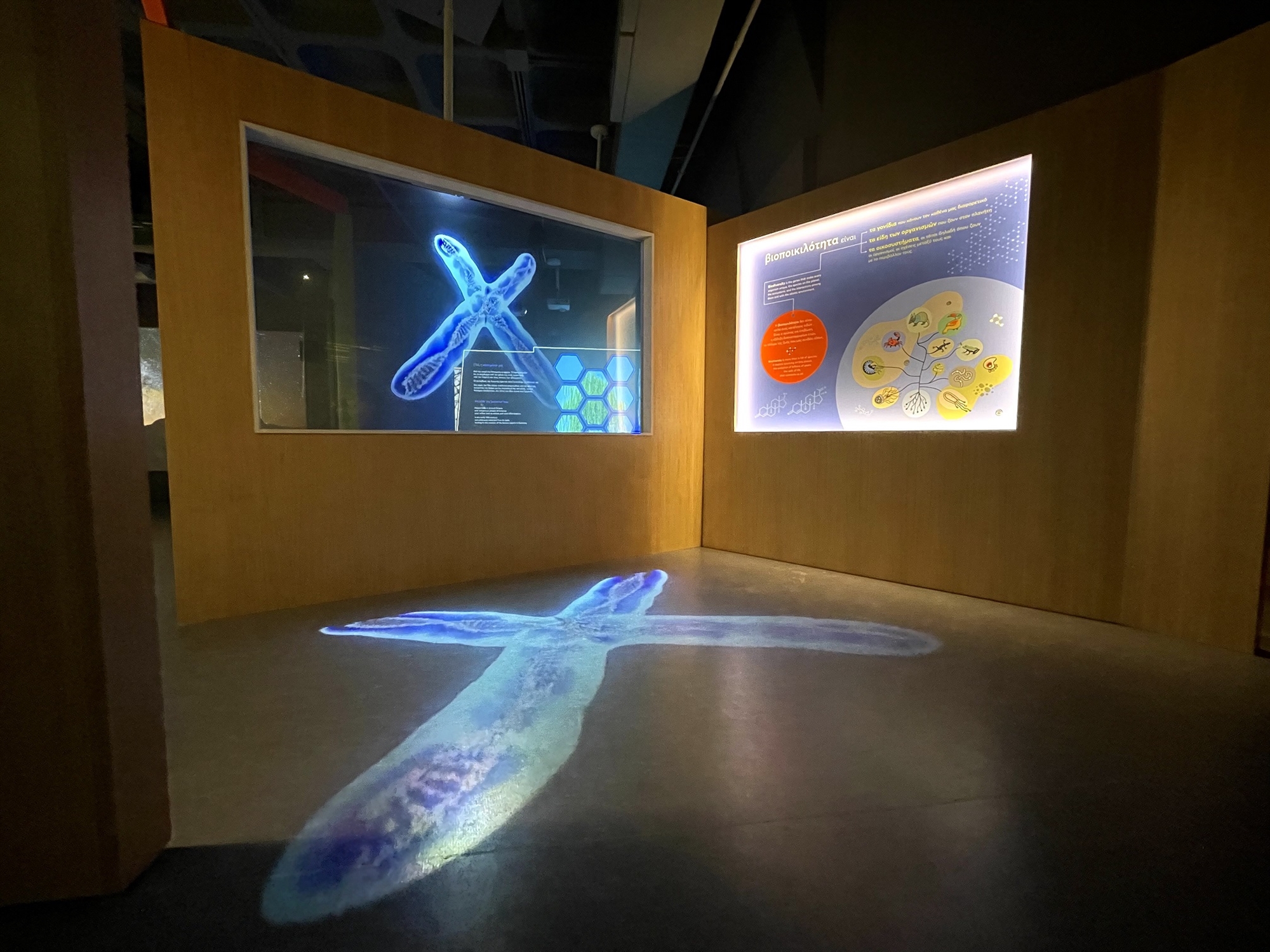 Ο πλούτος της ζωής σε μια χούφτα χώμα-1