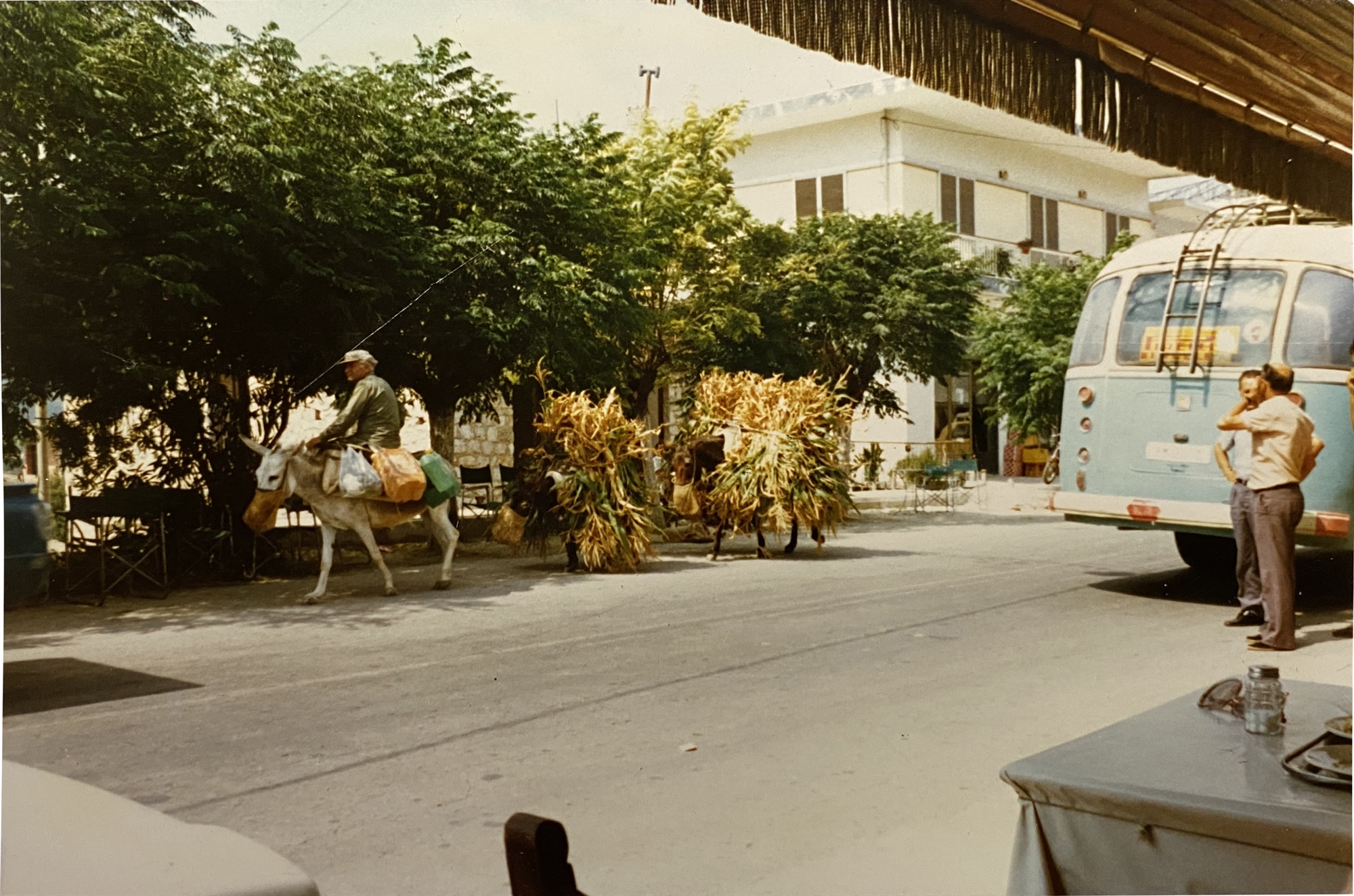 Φεστιβάλ Επιδαύρου: Καταλύτης ανάπτυξης-1
