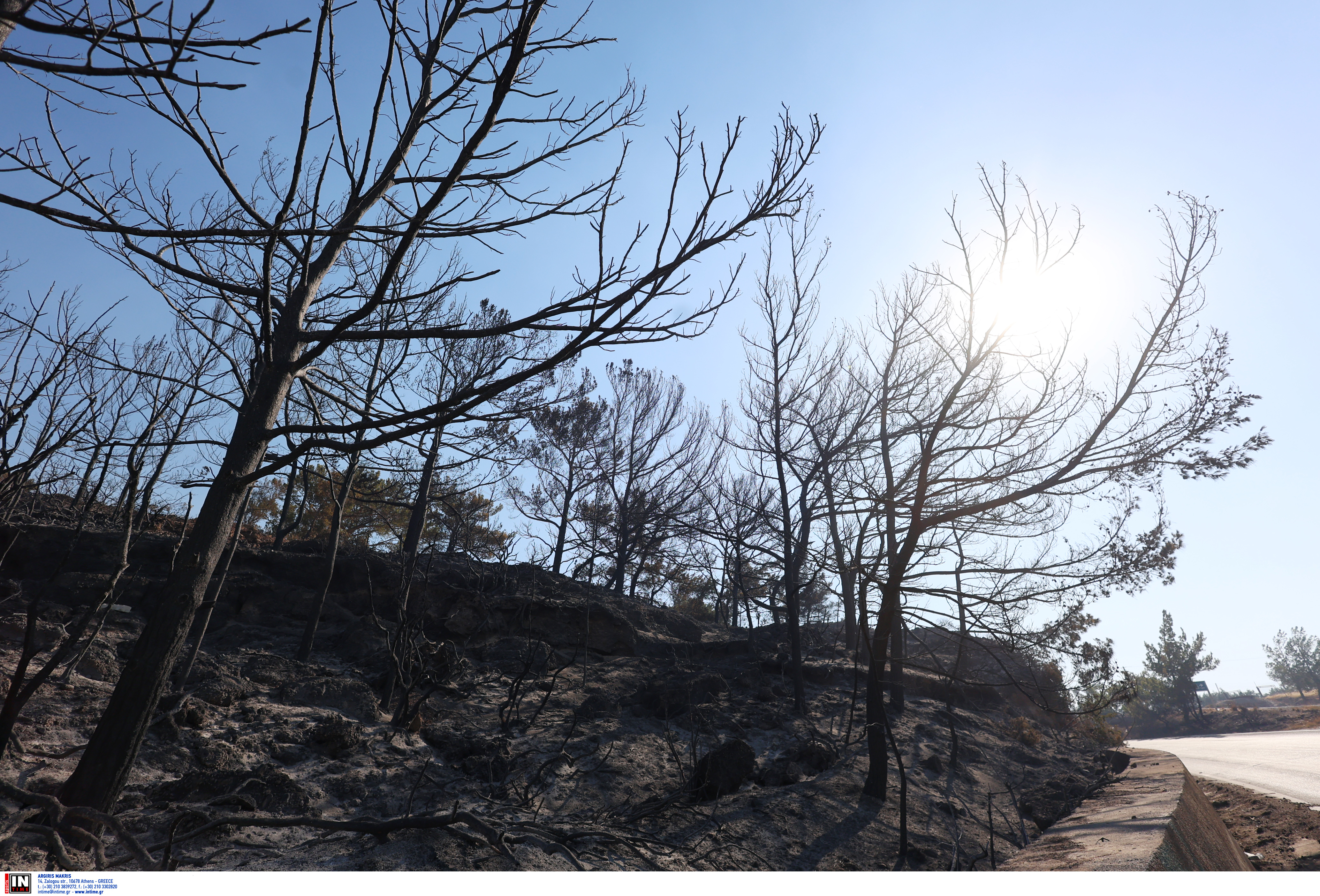 Φωτιά στο Λασίθι: Μαίνεται το πύρινο μέτωπο – Κάηκαν σπίτια, εκκενώσεις οικισμών και ξενοδοχείων-2