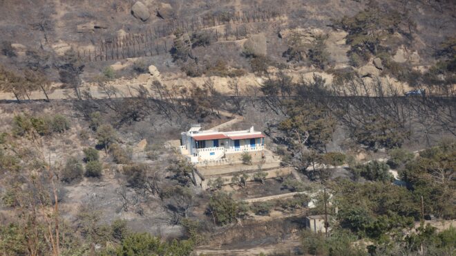 ιεράπετρα-αυτοψία-στις-πυρόπληκτες-π-563702056