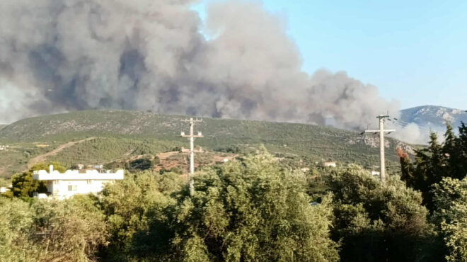 φωτιά-από-τη-βόρεια-μακεδονία-πέρασε-563706625