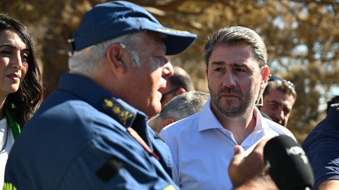 n-ανδρουλάκης-στους-πυρόπληκτους-οικι-563713528