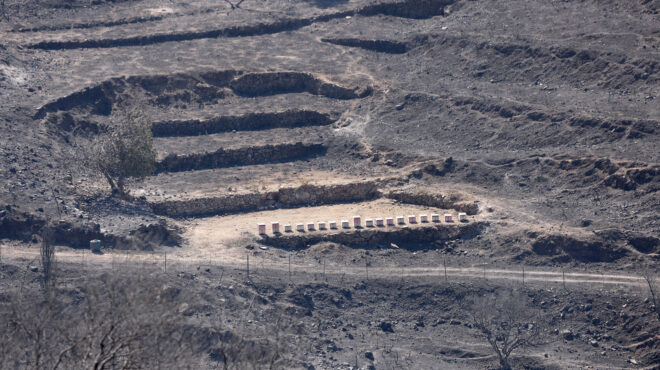meteo-δορυφορικές-εικόνες-των-πυρκαγιών-σ-563738524