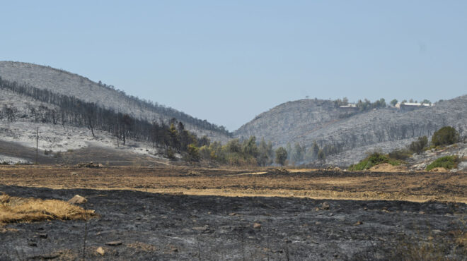 copernicus-55-540-στρέμματα-καμένης-γης-σε-κύθηρα-εύ-563738989