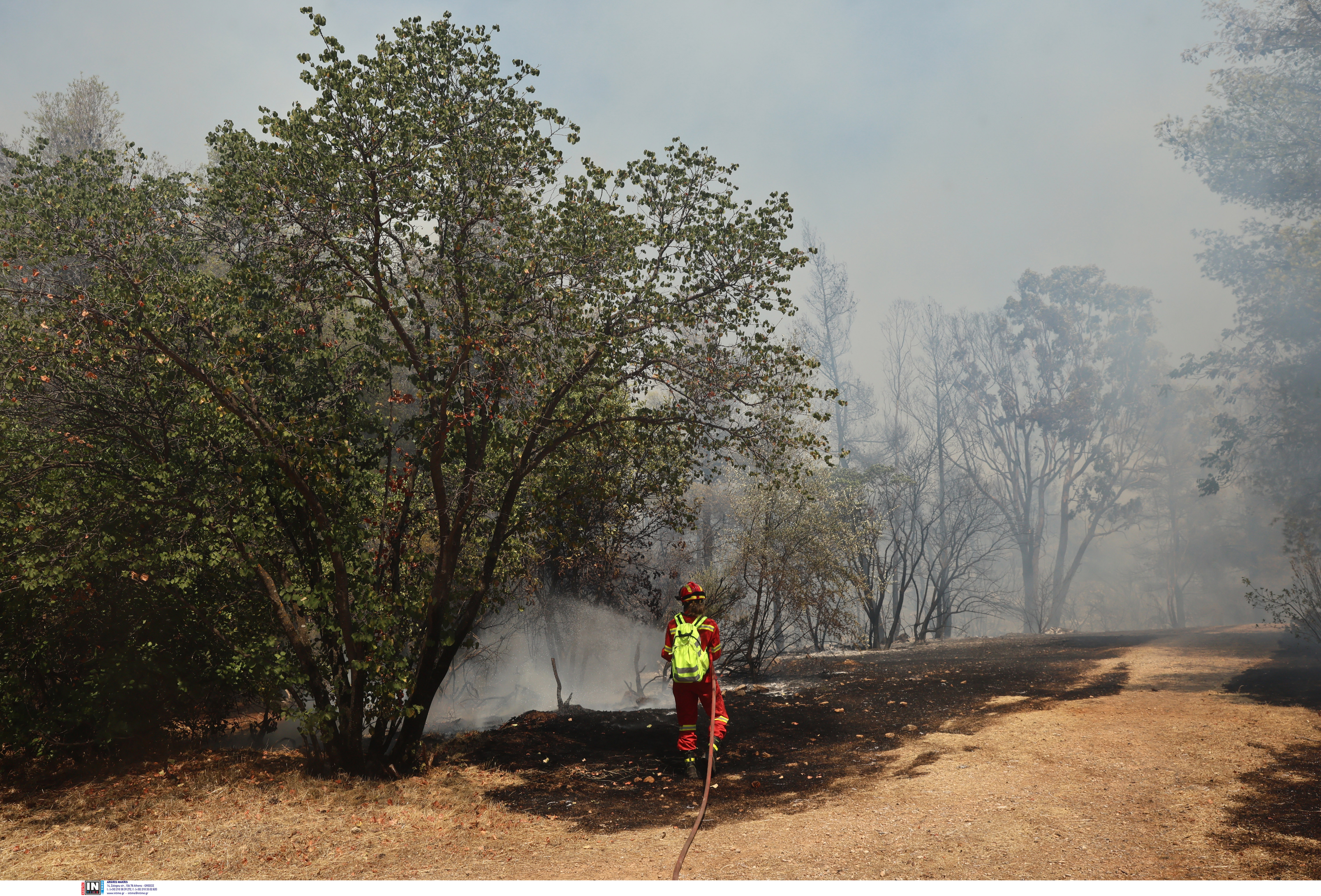 Φωτιά στου Ζωγράφου, κοντά στην Πολυτεχνειούπολη – Σηκώθηκαν και εναέρια-7