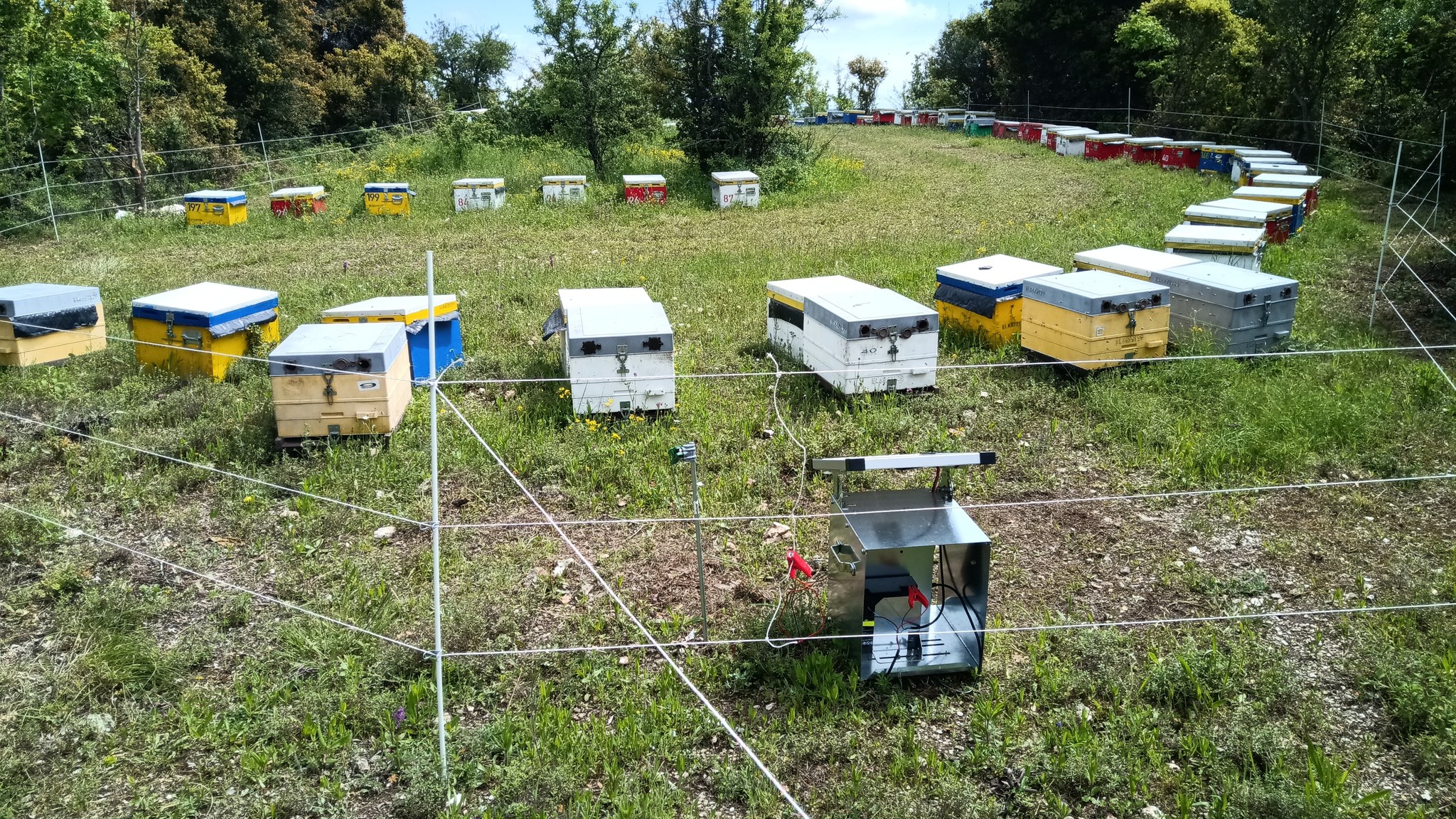 «Οι αρκούδες είναι μέσα στα σπίτια μας»-6