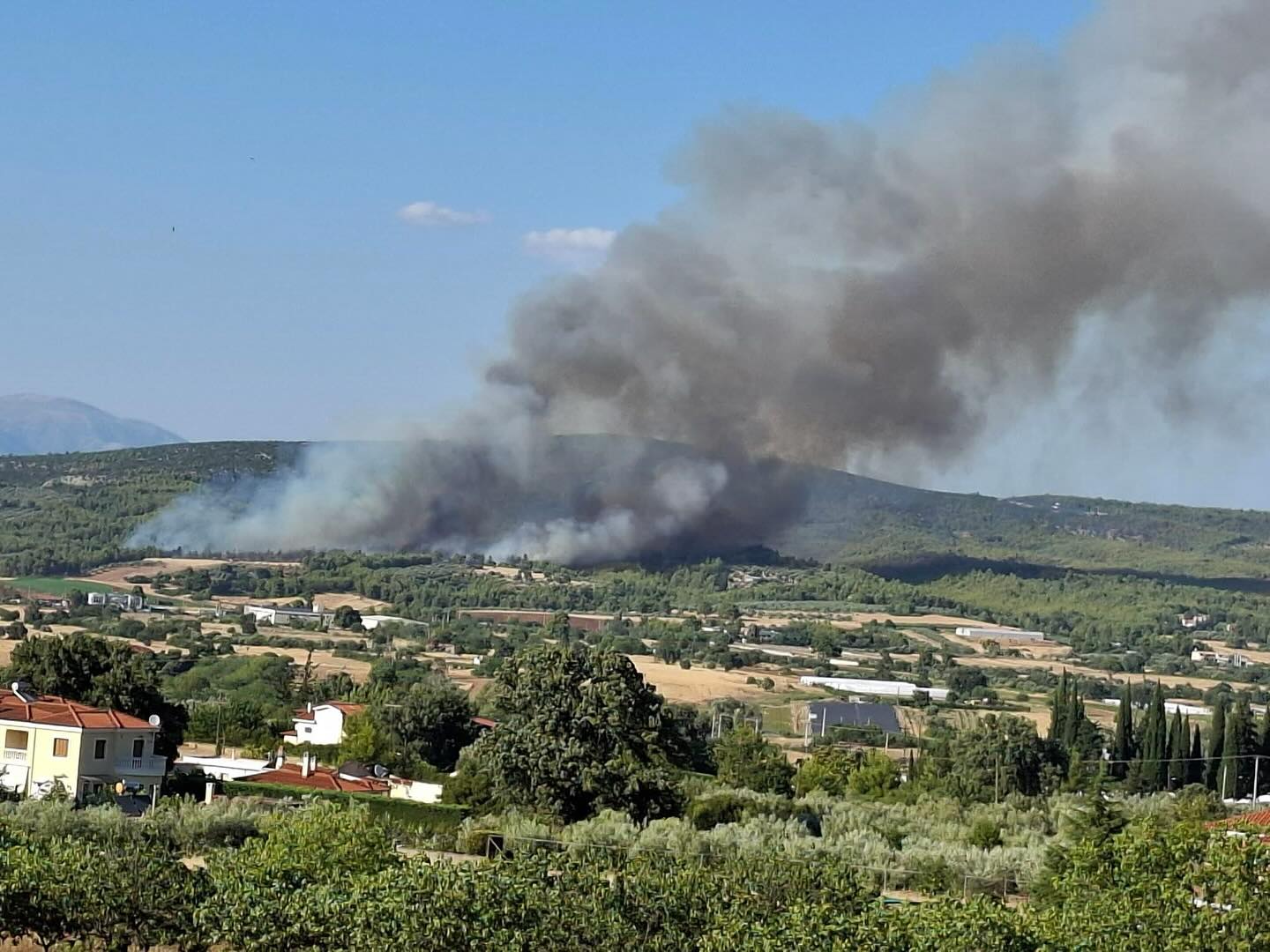 Μεγάλη φωτιά στον Ωρωπό – Ηχησε το 112 για εκκένωση-1