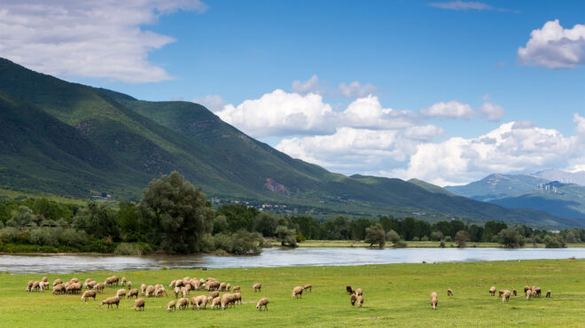 οπεκεπε-τα-άλλαξαν-σαν-τα-πουκάμισα-563695522