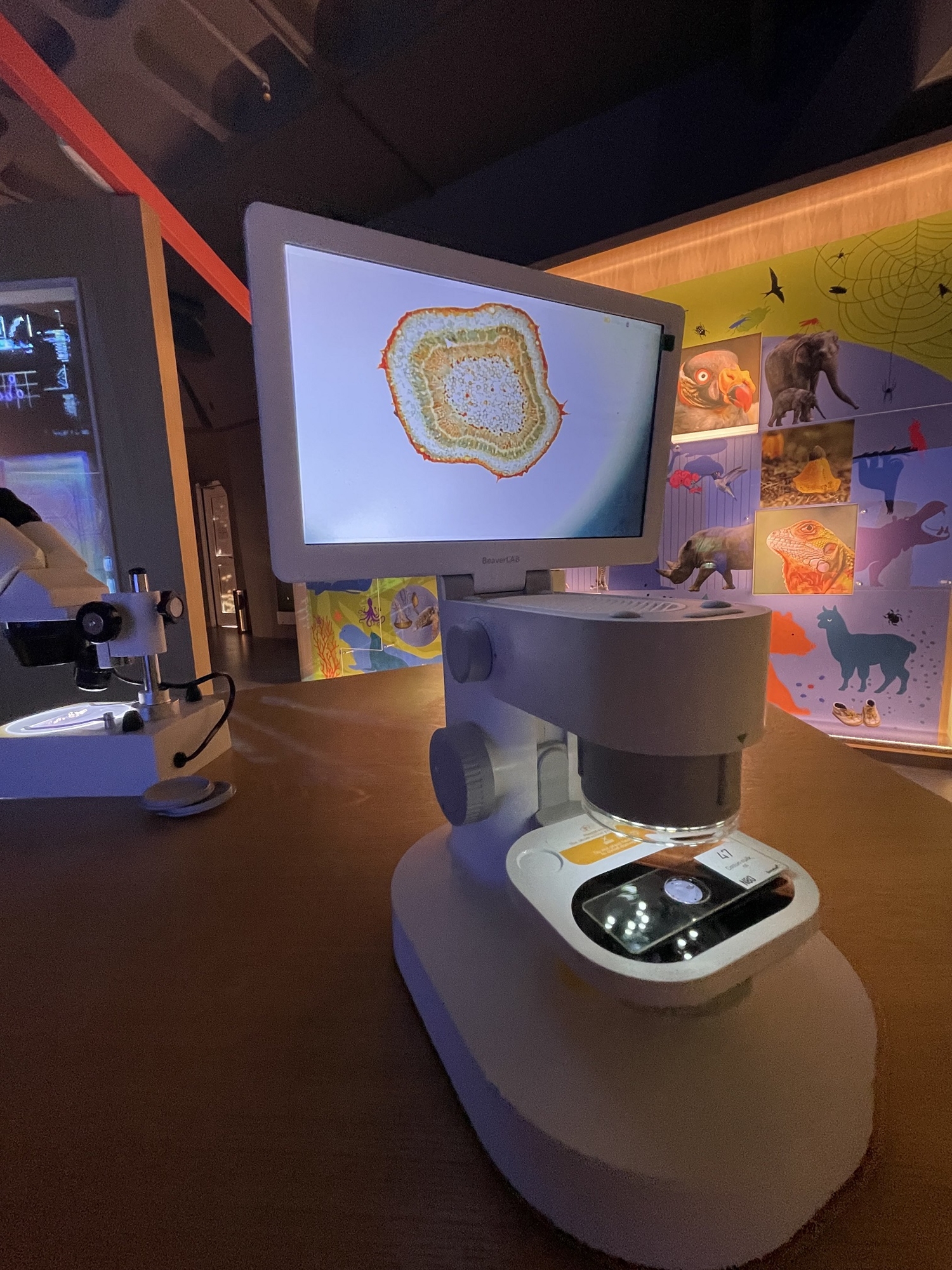 Ο πλούτος της ζωής σε μια χούφτα χώμα-2