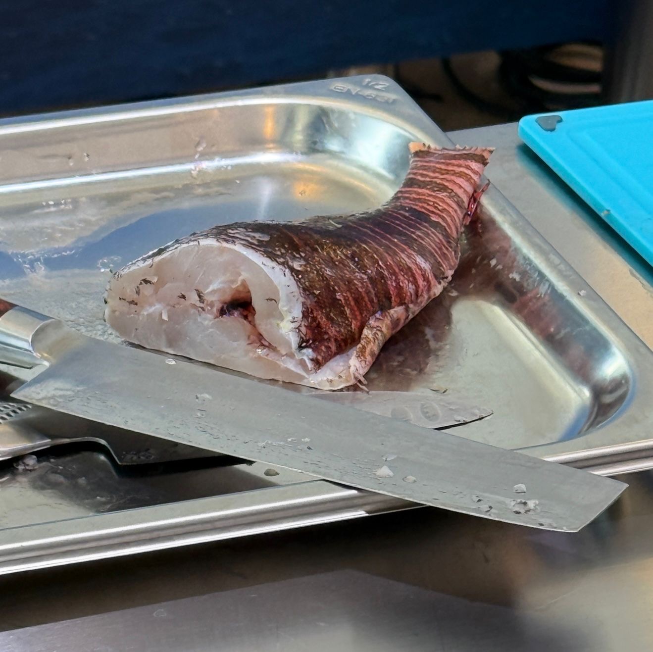 Ο πρίγκιπας τρώει λεοντόψαρο-1