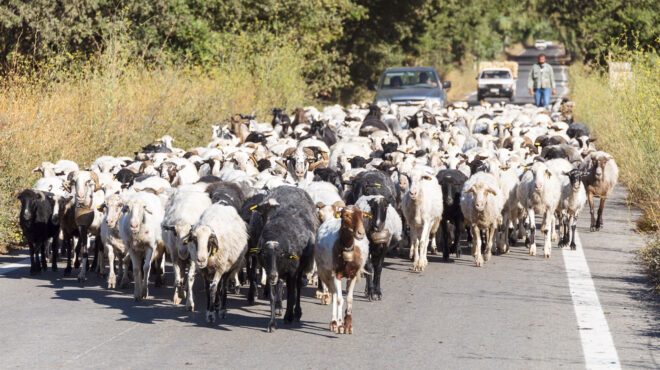 βουλή-πόλεμος-προτάσεων-για-τον-οπεκε-563717362