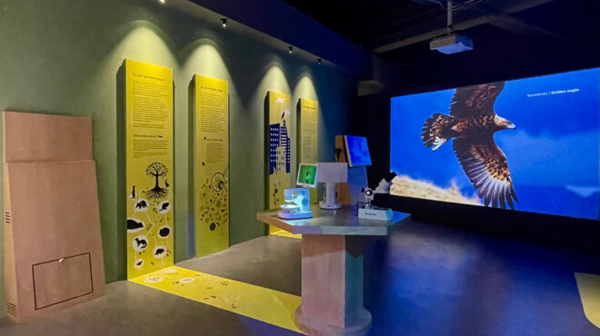 ο-πλούτος-της-ζωής-σε-μια-χούφτα-χώμα-563691736