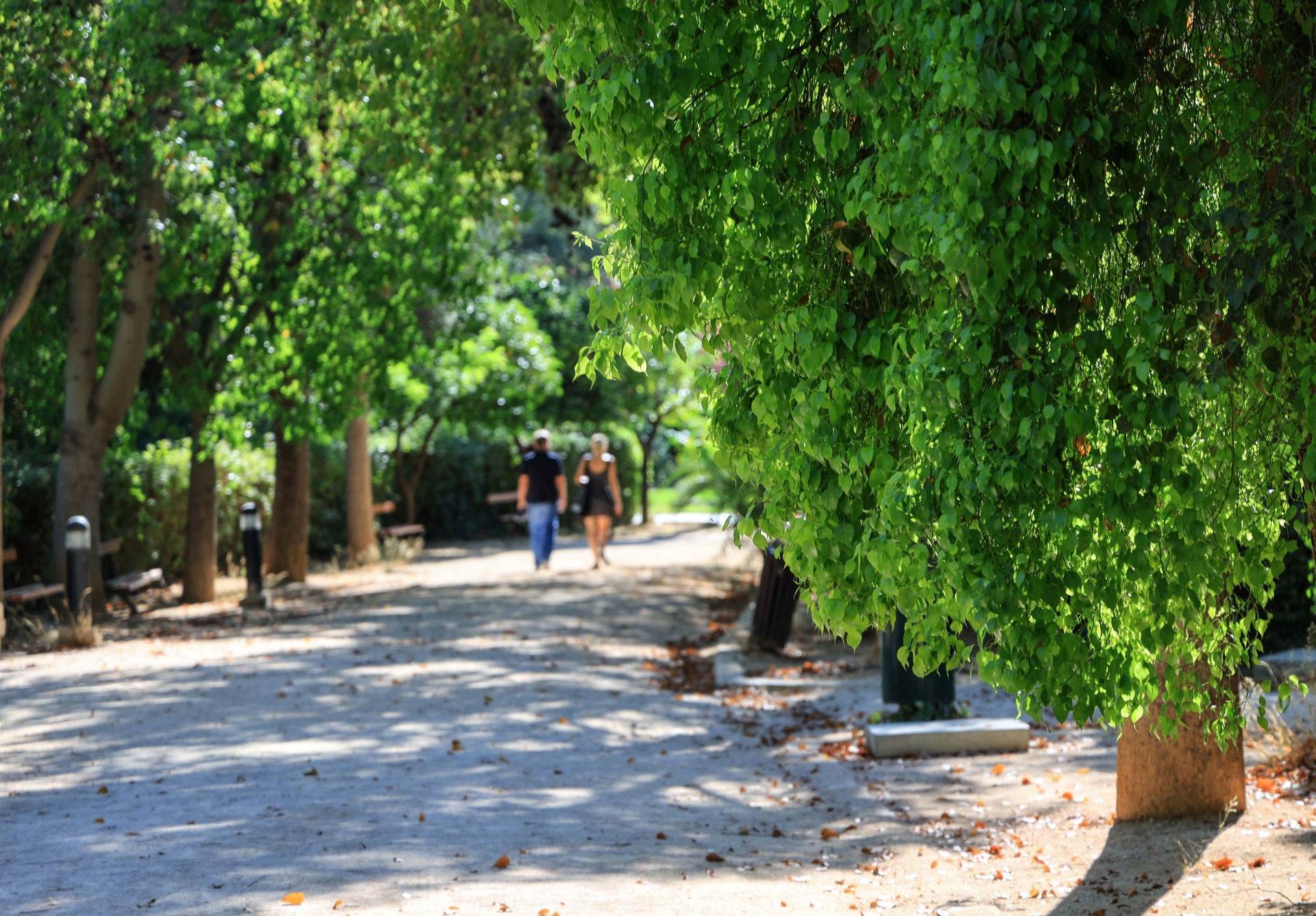 Πεδίον του Αρεως: Το πάρκο που κέρδισε τη «μάχη»-1