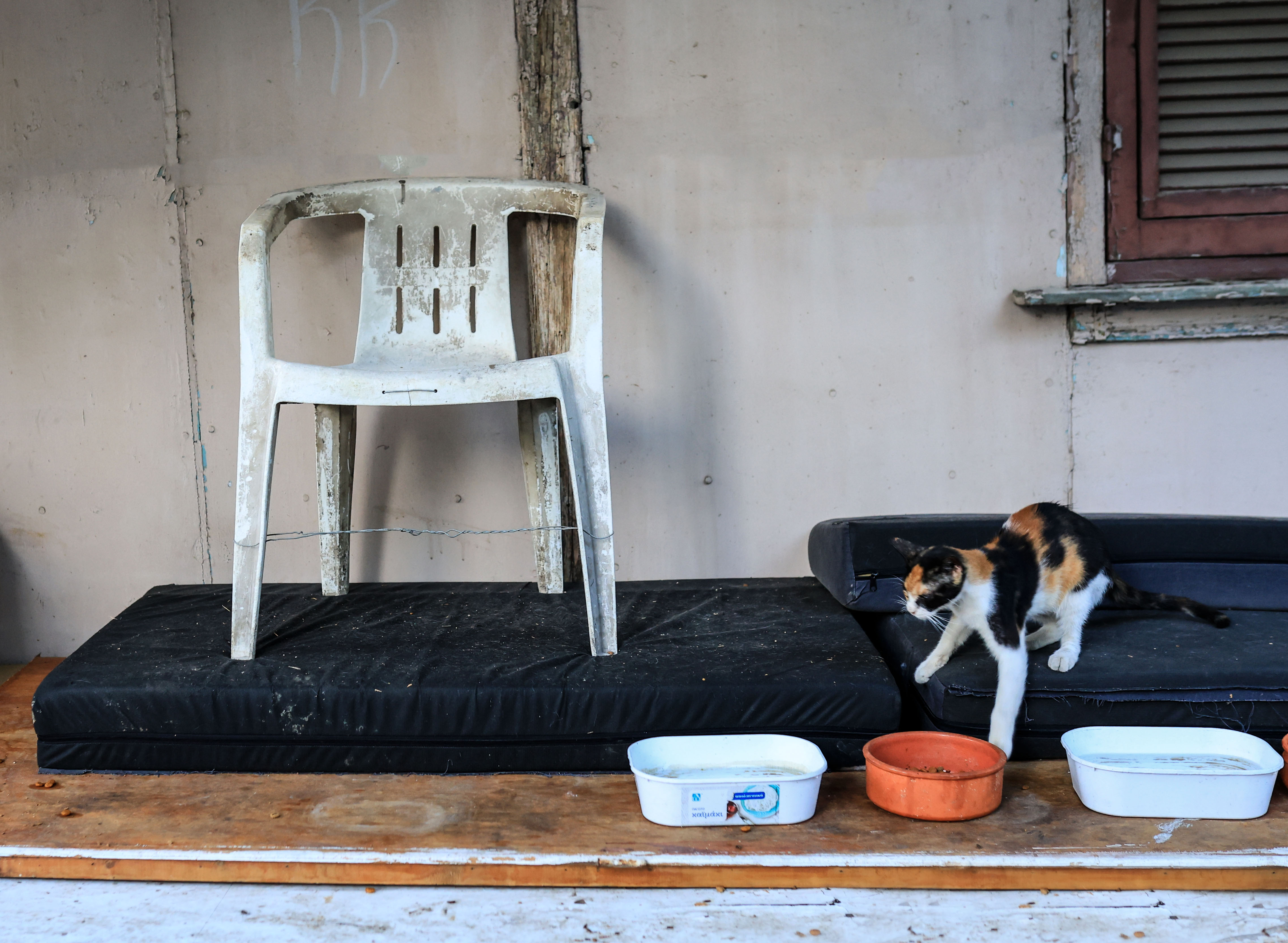 Ωδή στη λευκή πλαστική καρέκλα-1