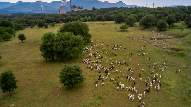 οπεκεπε-αποκαλυπτικές-συνομιλίες-563691379