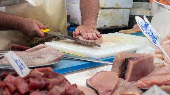 προστατευόμενοι-καρχαρίες-και-σαλάχ-563705038