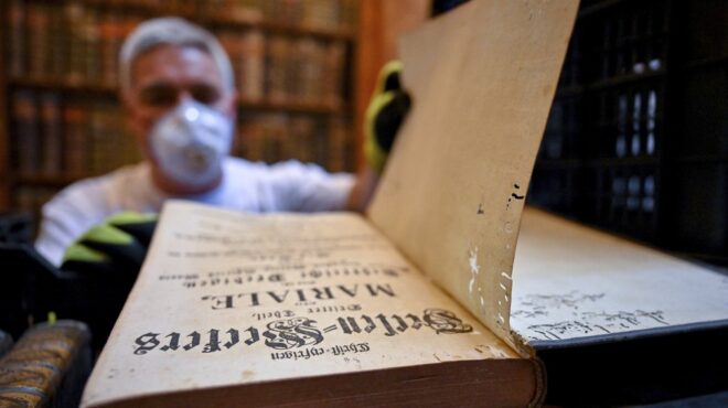 πώς-ένα-σκαθάρι-απειλεί-να-αφανίσει-ισ-563715502