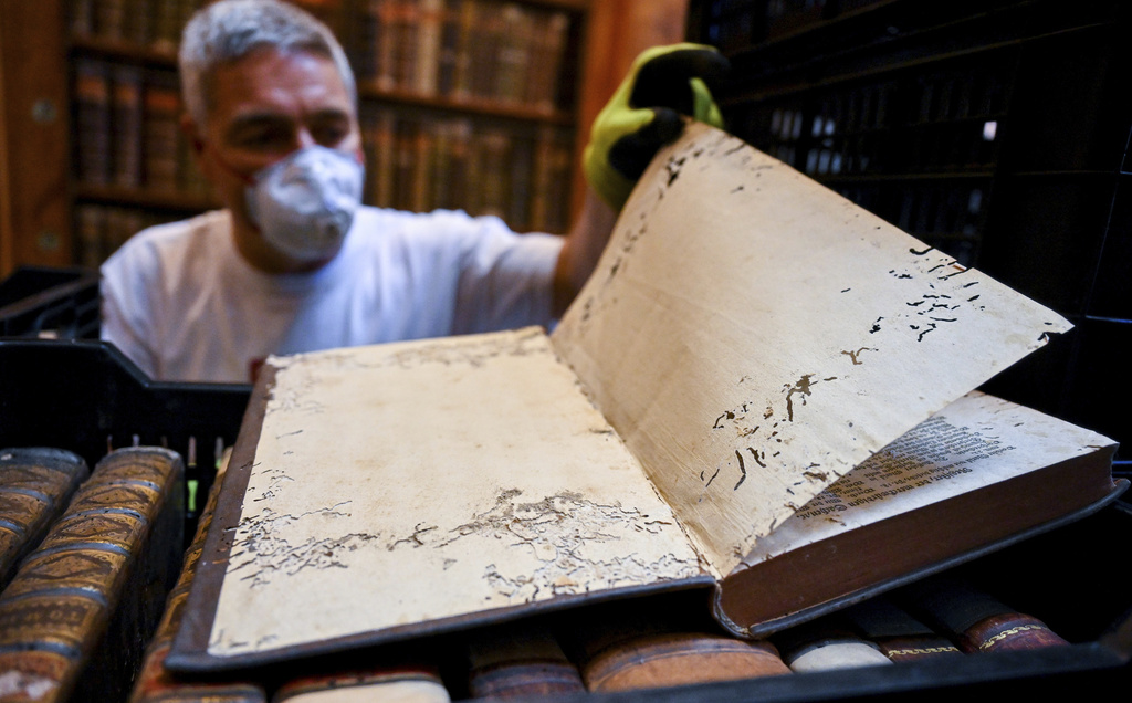 Πώς ένα σκαθάρι απειλεί να αφανίσει ιστορία αιώνων-2