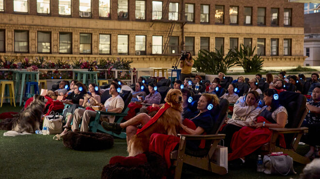 πρεμιέρα-μόνο-για-σκύλους-563710579