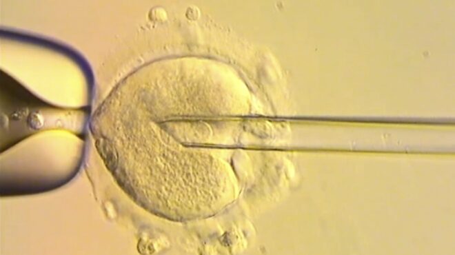 υγιή-μωρά-γεννήθηκαν-με-dna-τριών-ανθρώπ-563719363