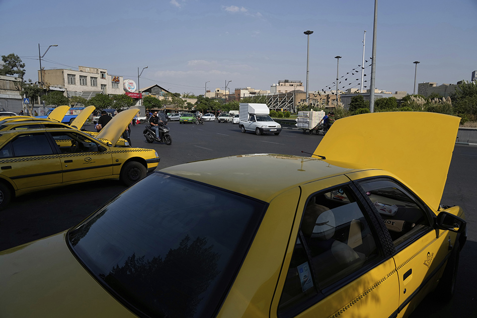 Βίος ανθόσπαρτος-2