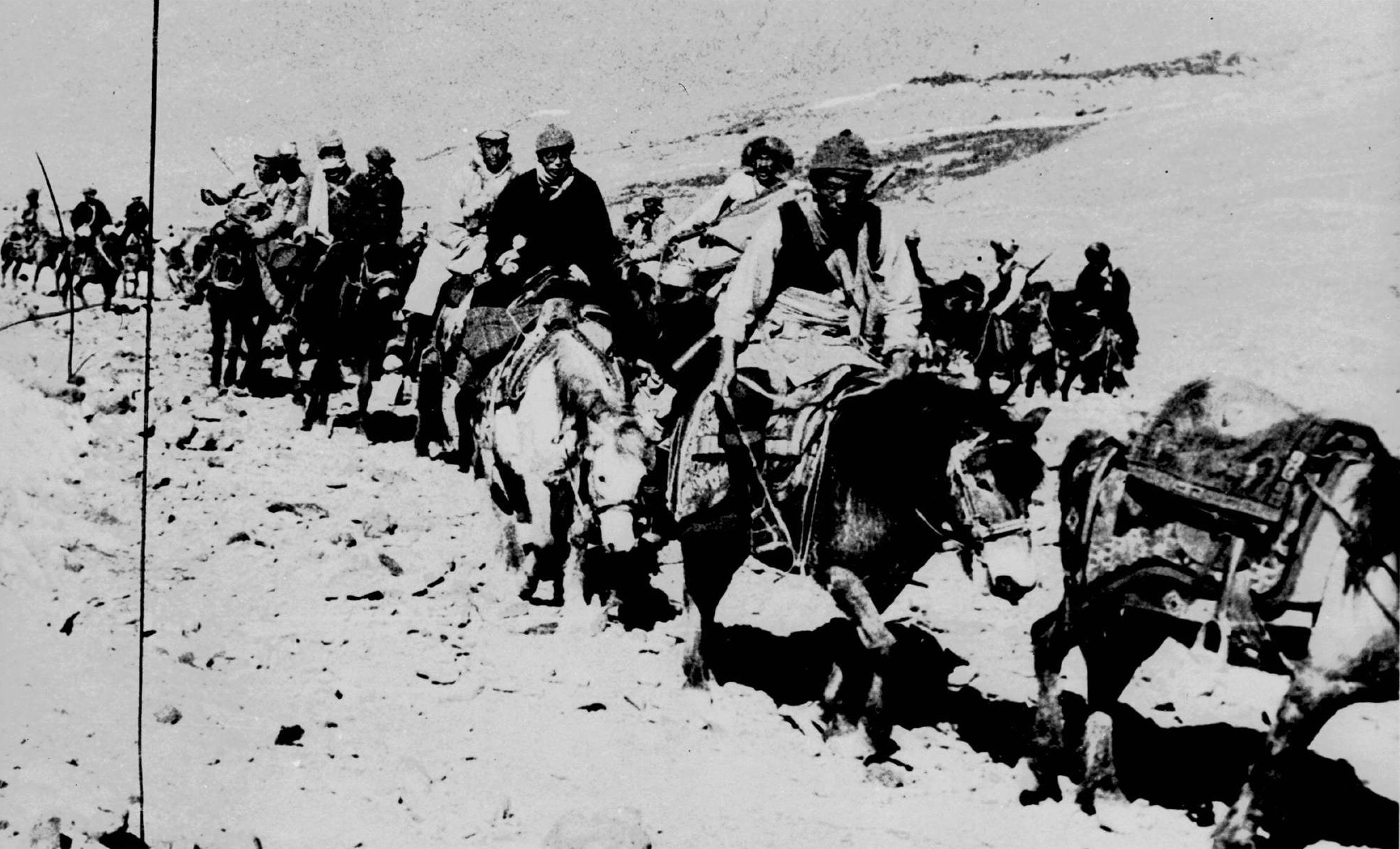 Ποιος θα είναι ο επόμενος Δαλάι Λάμα;-5