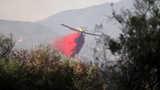 φωτιά-στην-κύπρο-αντιμετωπίστηκαν-αν-563733778