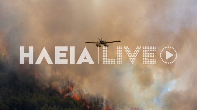 φωτιά-στην-αμαλιάδα-μάχη-με-διάσπαρτε-563725690