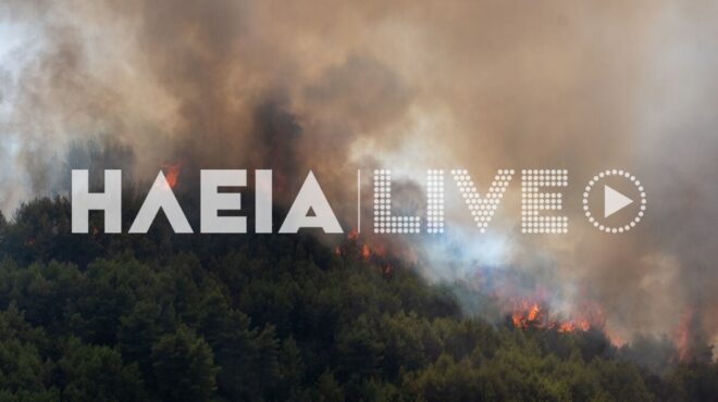 μαίνεται-η-φωτιά-στην-ηλεία-νέα-ενίσ-563725480