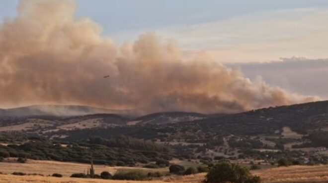 πυρκαγιά-σε-δασική-έκταση-στο-ωραιόκα-563692618