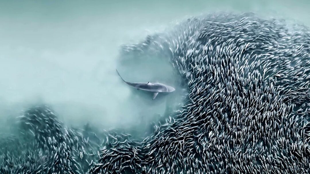 φαντασμαγορία-από-ψηλά-οι-ομορφότερ-563703439