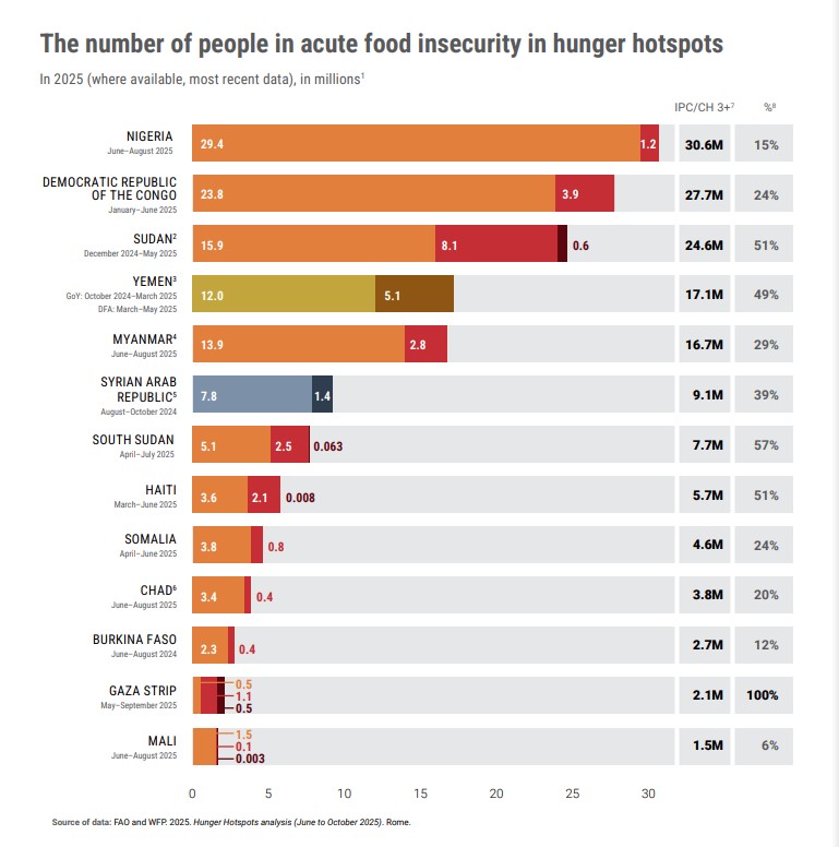 «Ο λιμός στη Γάζα ξεδιπλώνεται μπροστά στα μάτια μας»-2