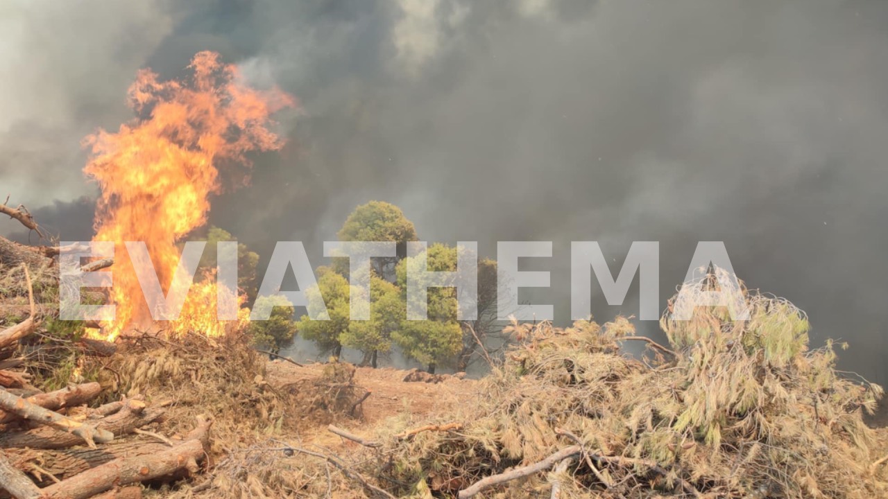 Εικόνες αποκάλυψης από τα πύρινα μέτωπα – Κάηκαν σπίτια, στάχτη δάση και καλλιέργειες-7