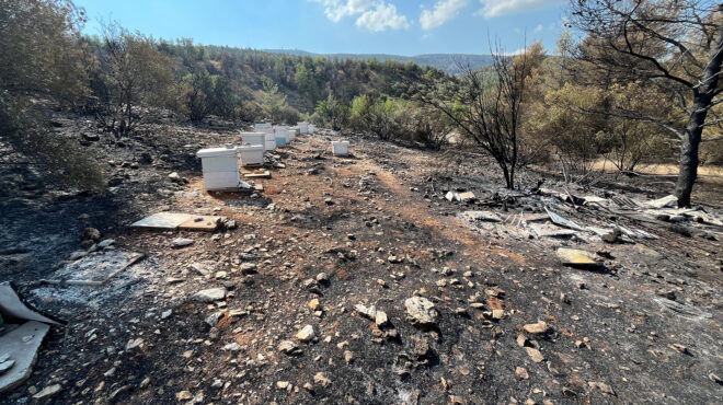 το-εκπα-κάνει-έξωση-στο-πειραματικό-563743846