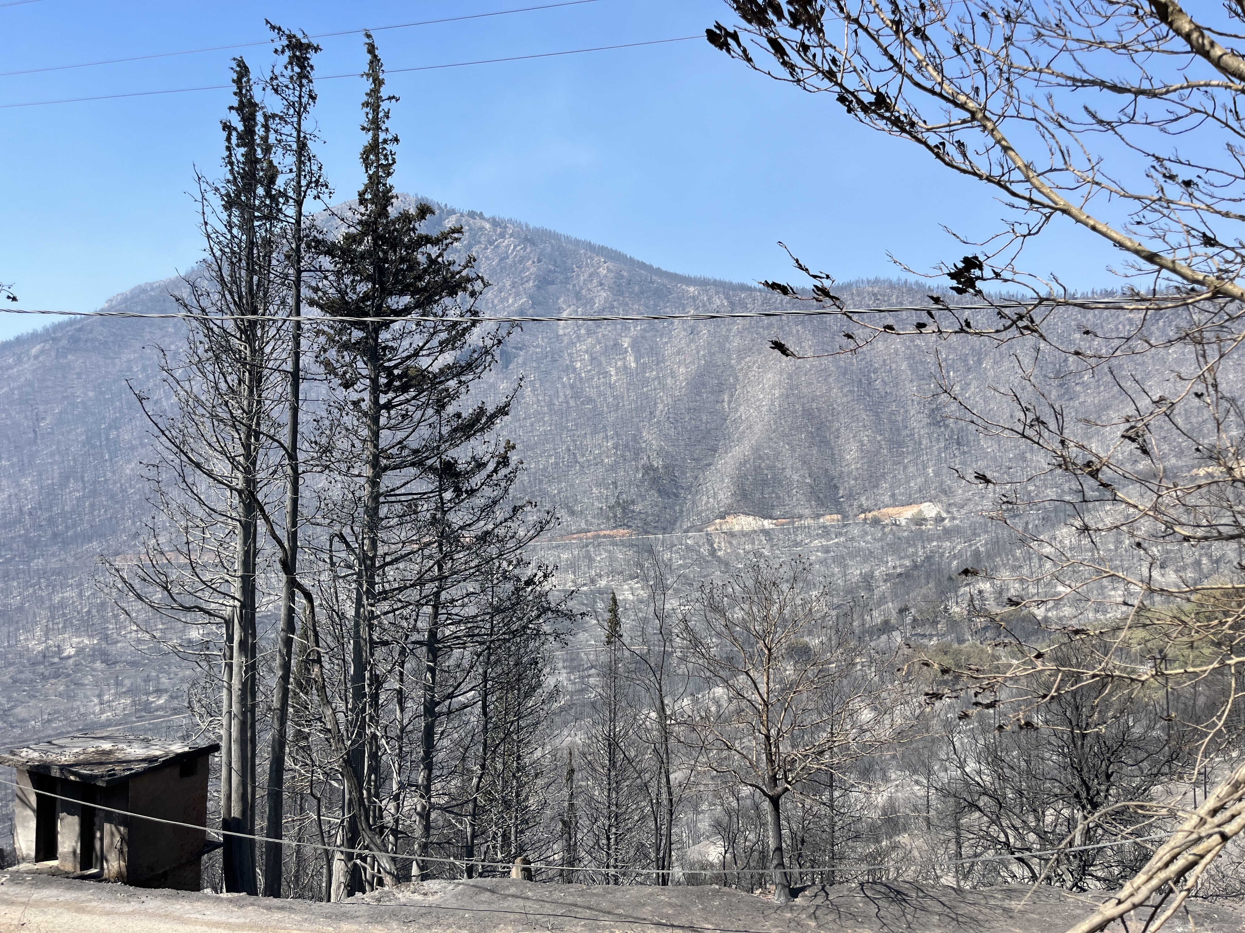 Φωτιά στην Κορινθία: Κάηκαν σπίτια στην Καστανιά – «Ημασταν όλο το βράδυ από χωριό σε χωριό»-2