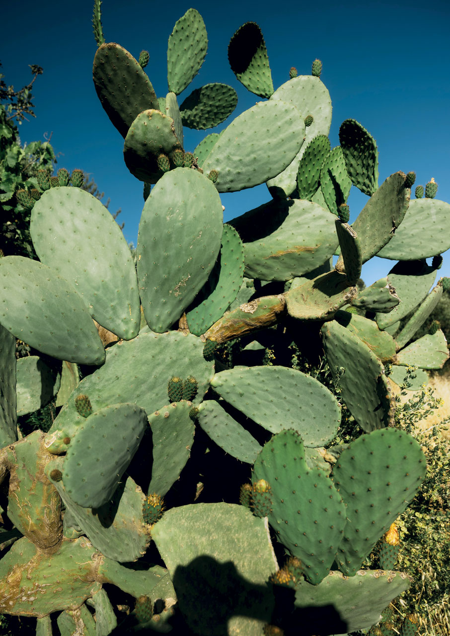 Πανέμορφες παραλίες, μοναδικά χωριά: Road trip στην Ανατολική Κρήτη-5