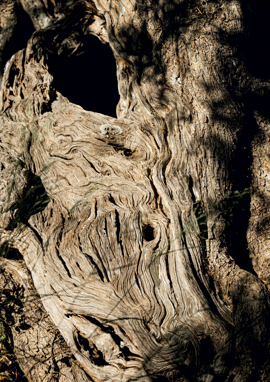 Πανέμορφες παραλίες, μοναδικά χωριά: Road trip στην Ανατολική Κρήτη-4