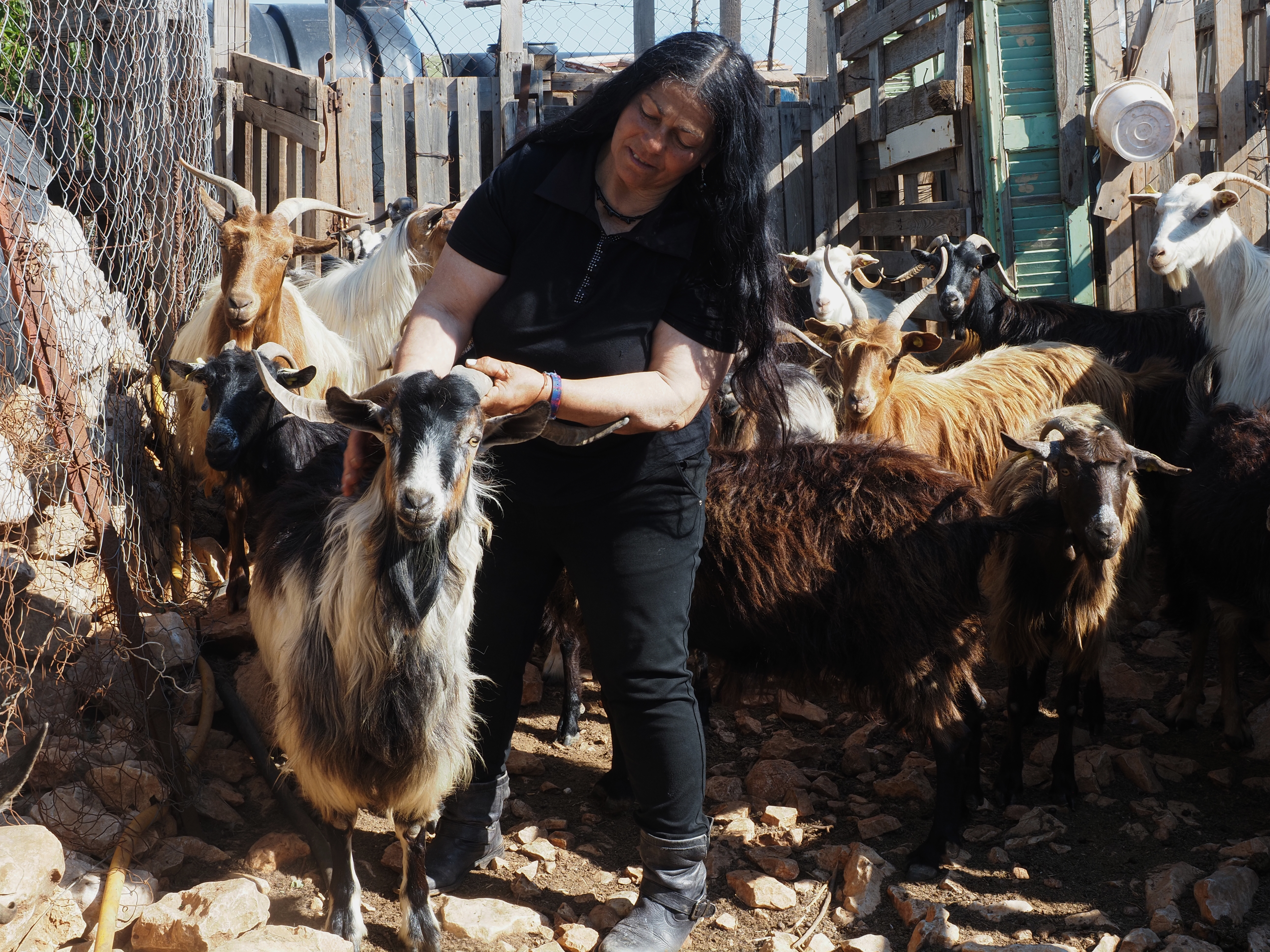 Η τελευταία τσοπάνισσα του Αίπους-1