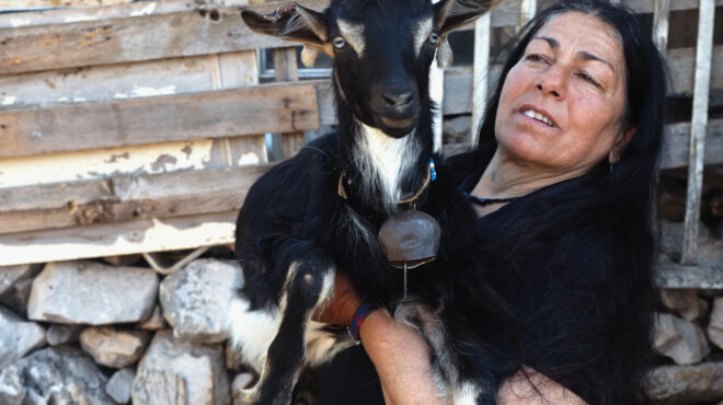 η-τελευταία-τσοπάνισσα-του-αίπους-563722009