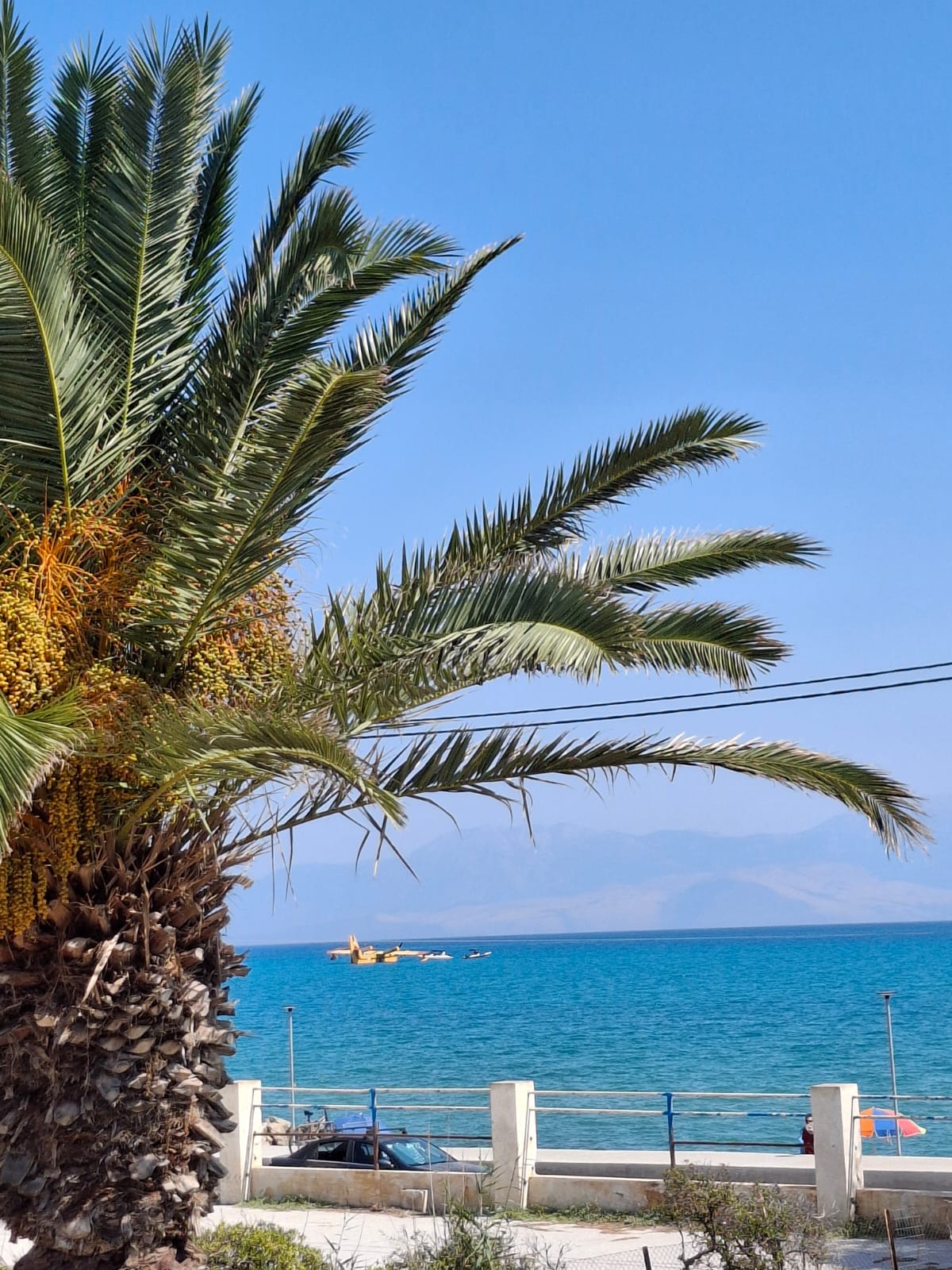 Προσθαλάσσωση πυροσβεστικού αεροσκάφους στον Κορινθιακό – Σώοι οι δύο πιλότοι [Βίντεο]-1