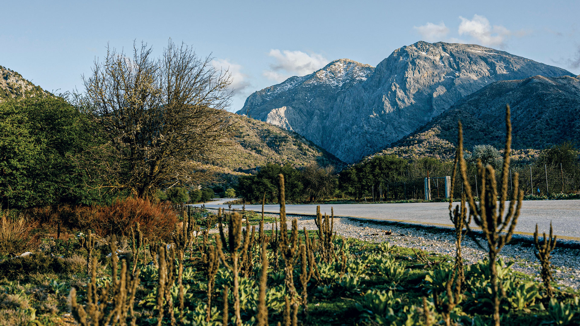 Ριζίτικο: Η φωνή της Κρήτης που αντηχεί αιώνες μετά-4
