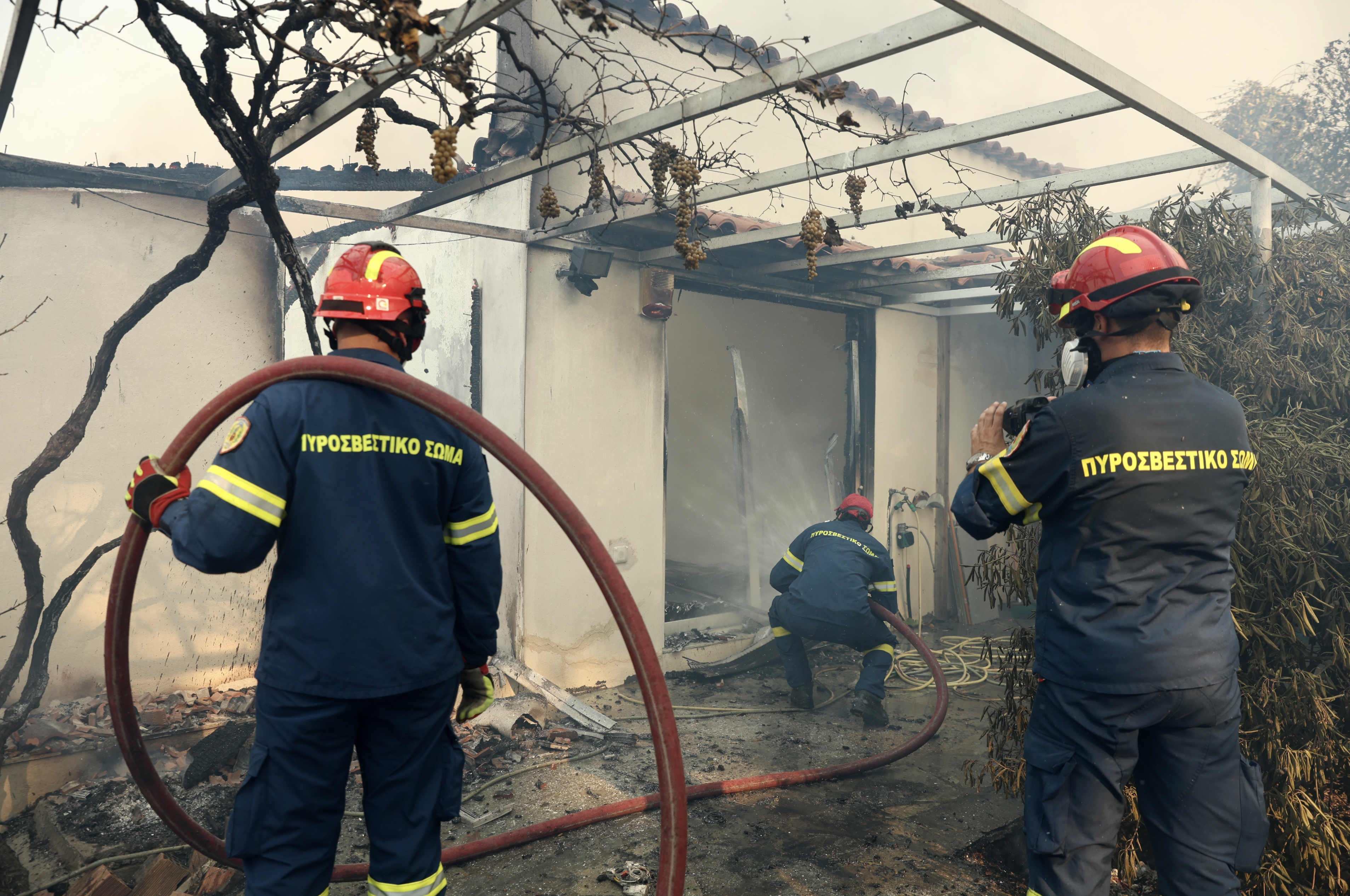 Φωτιά στο Κρυονέρι: Μάχη με τις φλόγες μέσα στην κατοικημένη περιοχή-5