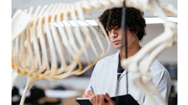 καινοτόμες-προσεγγίσεις-για-την-υγεί-563691553