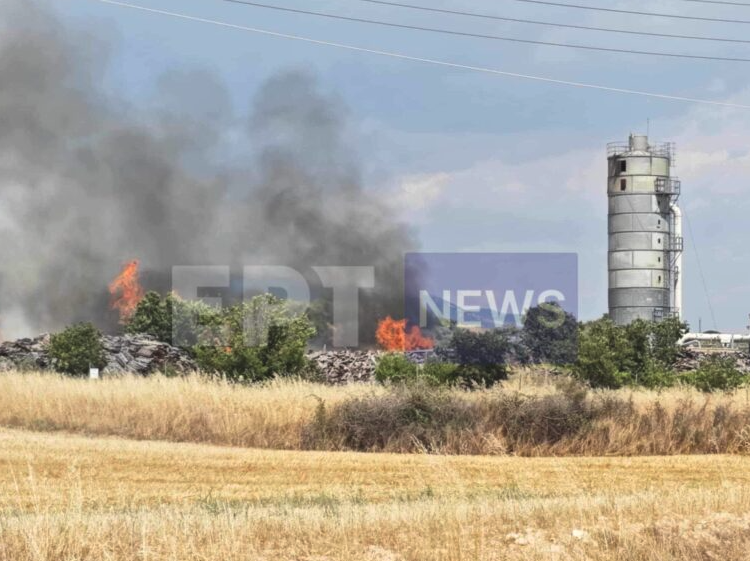 Οριοθετήθηκε η φωτιά σε εργοστάσιο ξυλείας στις Σέρρες – Ηχησε το 112-1