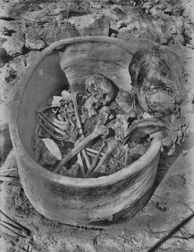 Ενας σκελετός 4,5 χιλιετιών «ξαναγράφει» την ιστορία της Αρχαίας Αιγύπτου-4