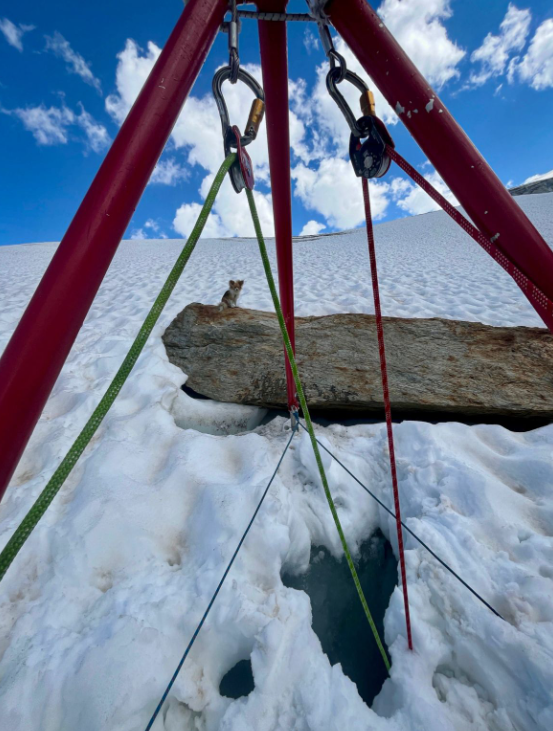 Πώς ένα «ηρωικό» τσιουάουα έσωσε τη ζωή του κηδεμόνα του που έπεσε σε ρωγμή παγετώνα-1