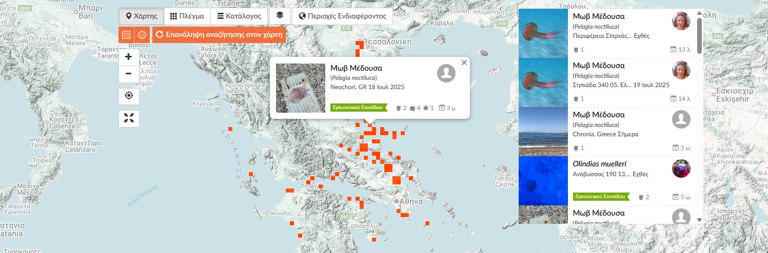 Μοβ μέδουσες: Σε ποιες θάλασσες της Ελλάδας κολυμπούν – Live χάρτης-1